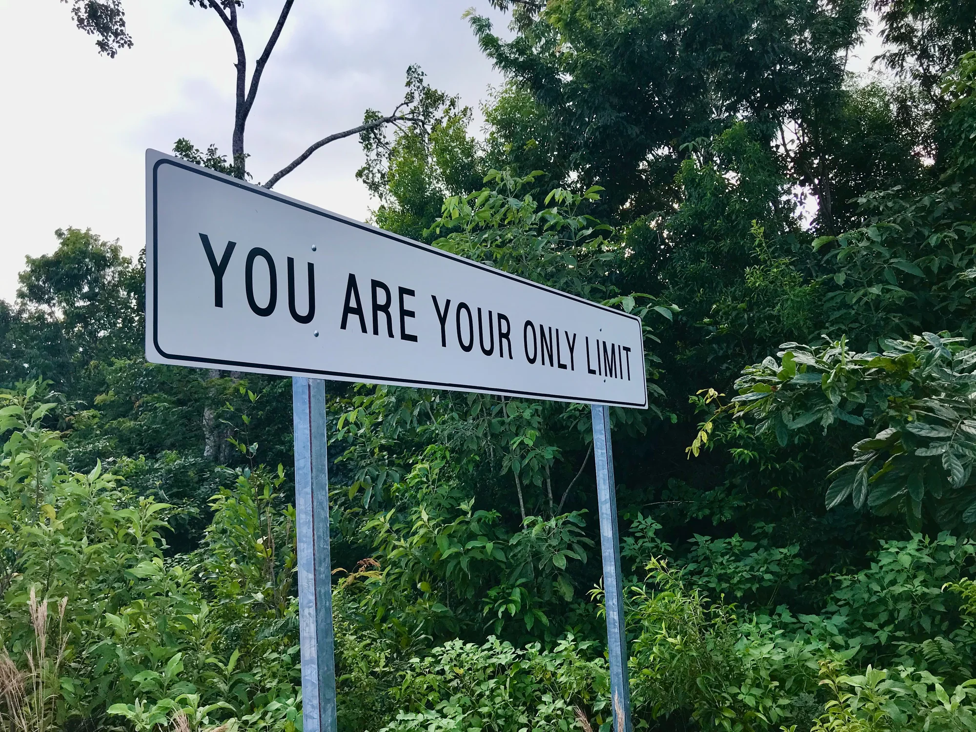 You are your own limit sign in the Tulum jungle